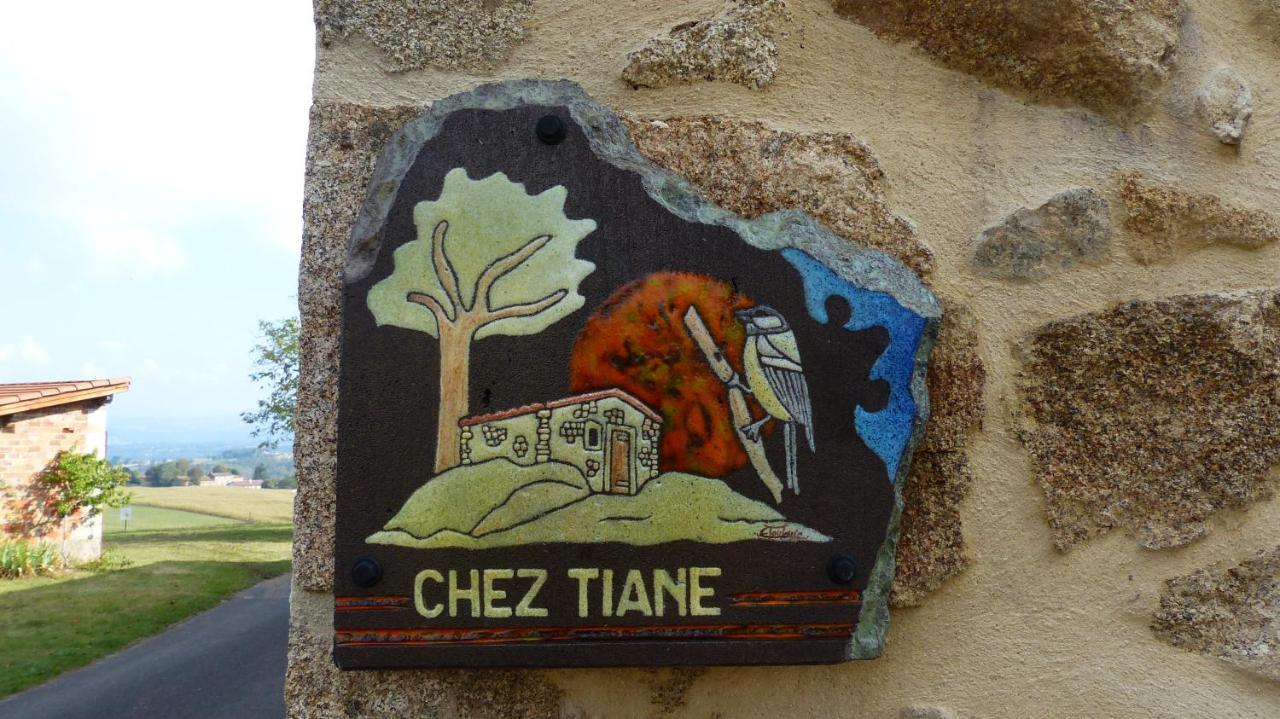 Bed and Breakfast Chez Tiane Puy de Dôme Saint-Flour  Exterior foto
